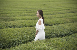 Innisfree Jeju House Green Tea Plantation