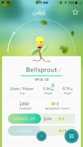Bellsprout Pokemon